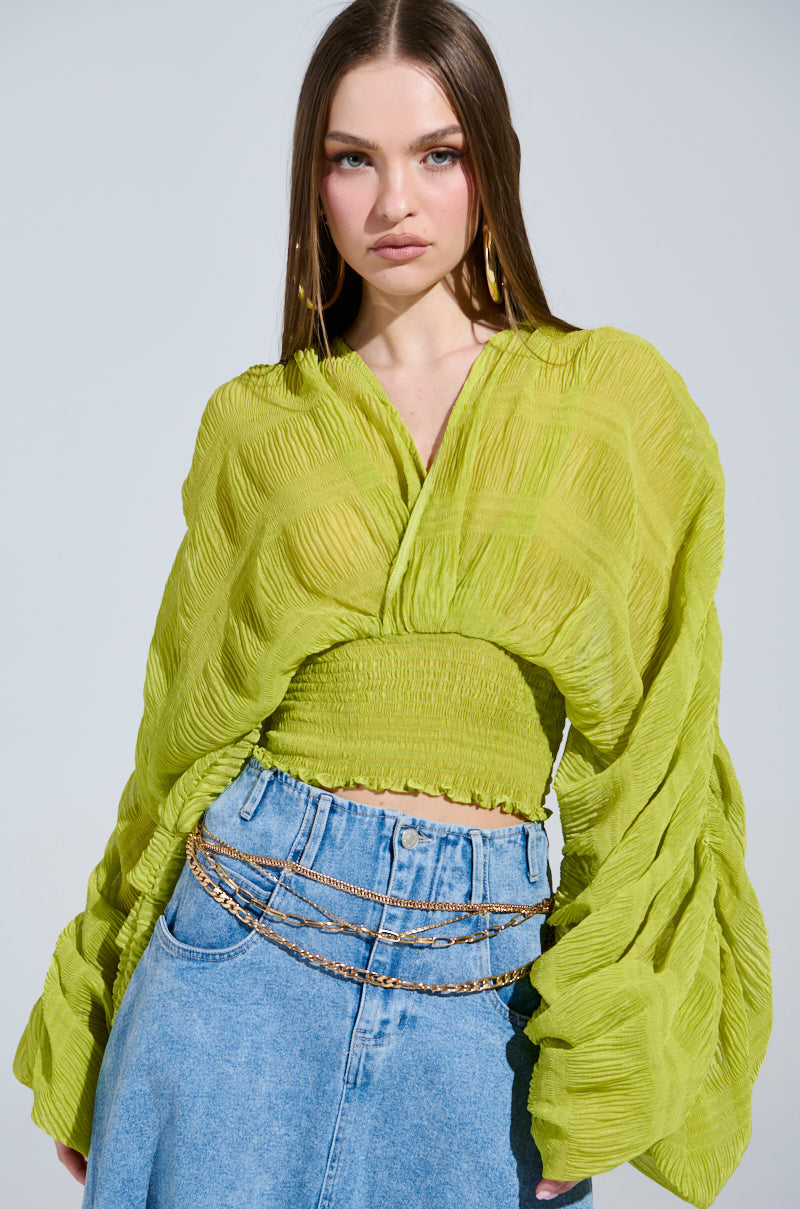 ALL THE BUZZ DEEP V LONG SLEEVE BLOUSE